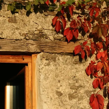 Hermitage Into The Wild * Neirone